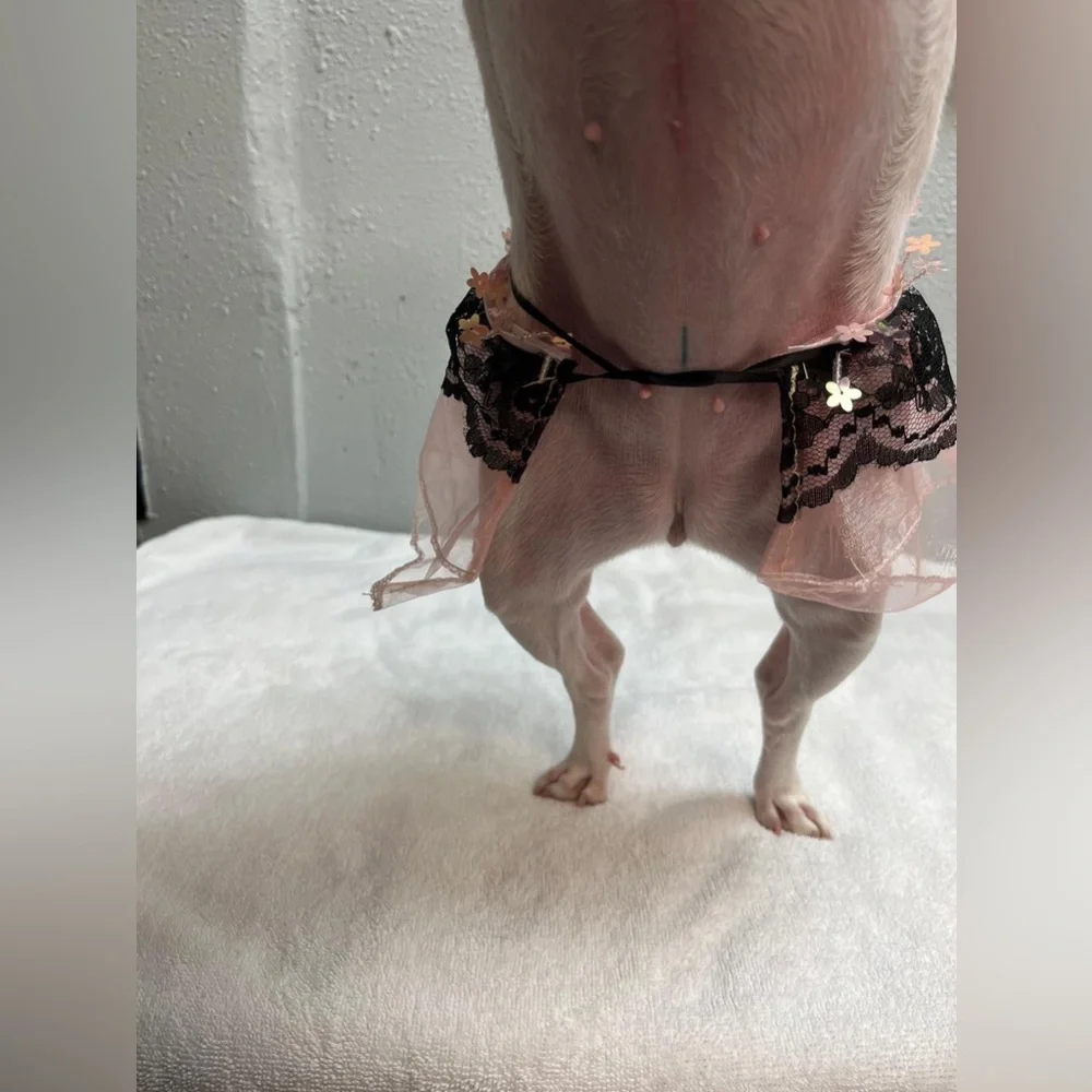Pink and Black Dog Tutu Skirt